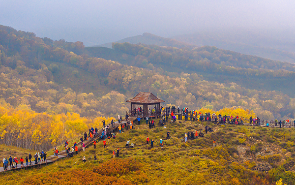 2024年9月27日，內(nèi)蒙古自治區(qū)赤峰市克什克騰旗烏蘭布統(tǒng)景區(qū)層林盡染，游人如織，風光如畫。來源：人民圖片網(wǎng)