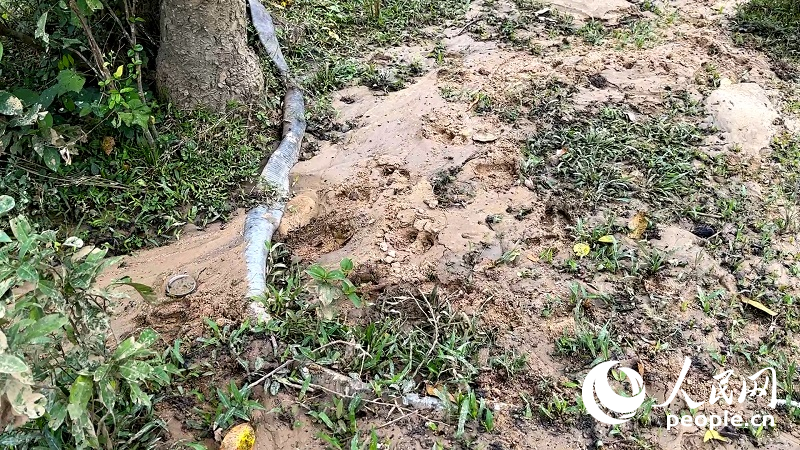 抽砂現場留下的管道。人民網記者 游天燚攝