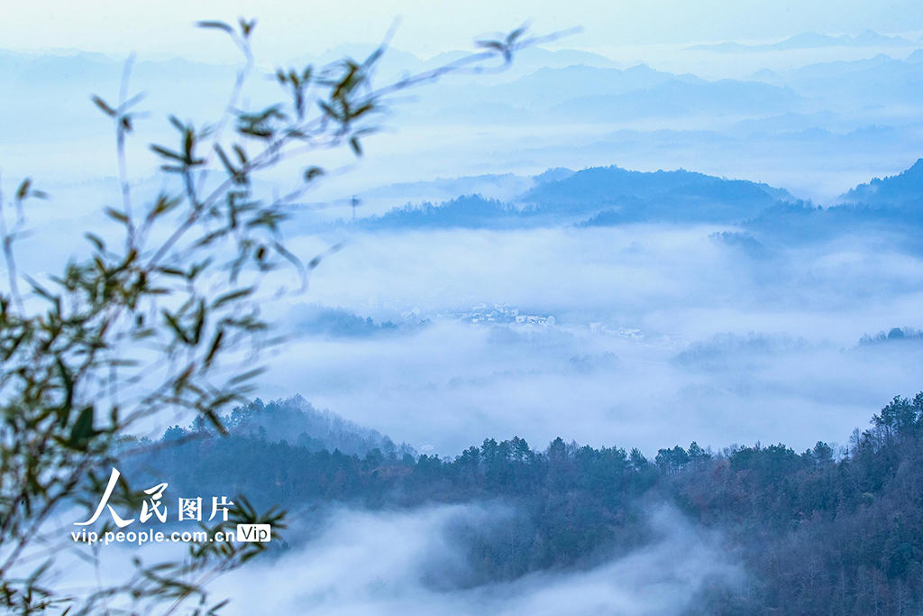安徽休寧：鄉(xiāng)村云海 
